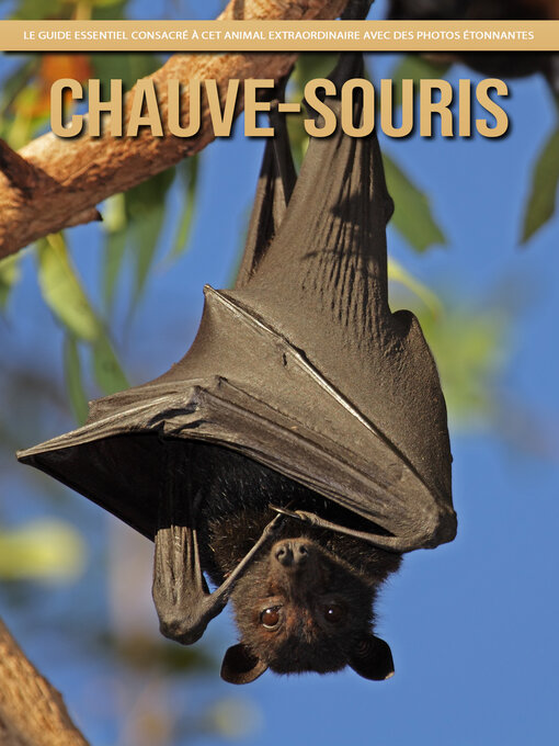 Title details for Chauve-Souris by Claudia Santopaolo - Available